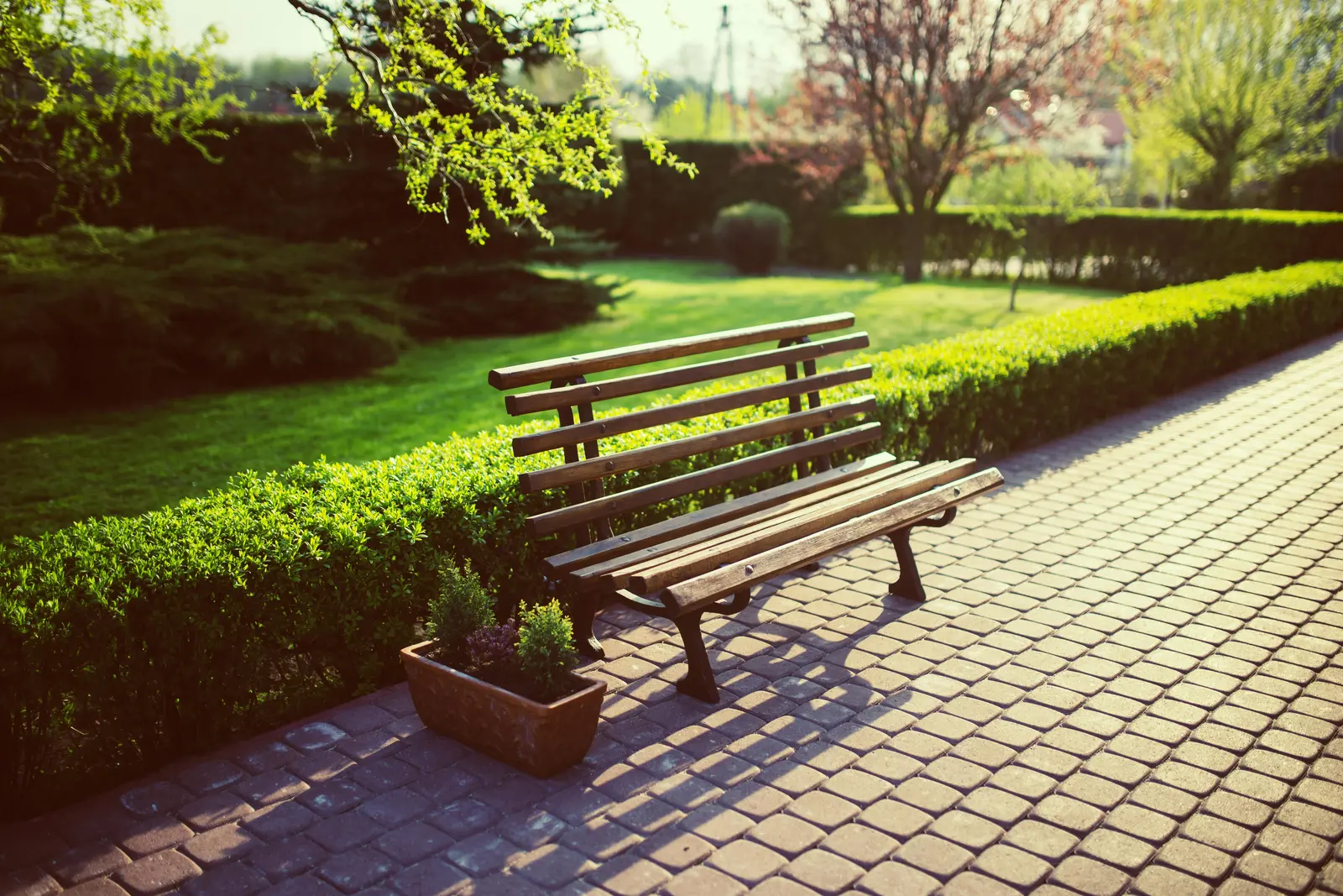 Privat hage med moden beplantning og benk